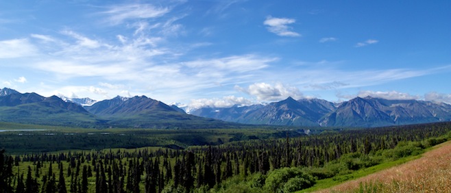 AK Scene